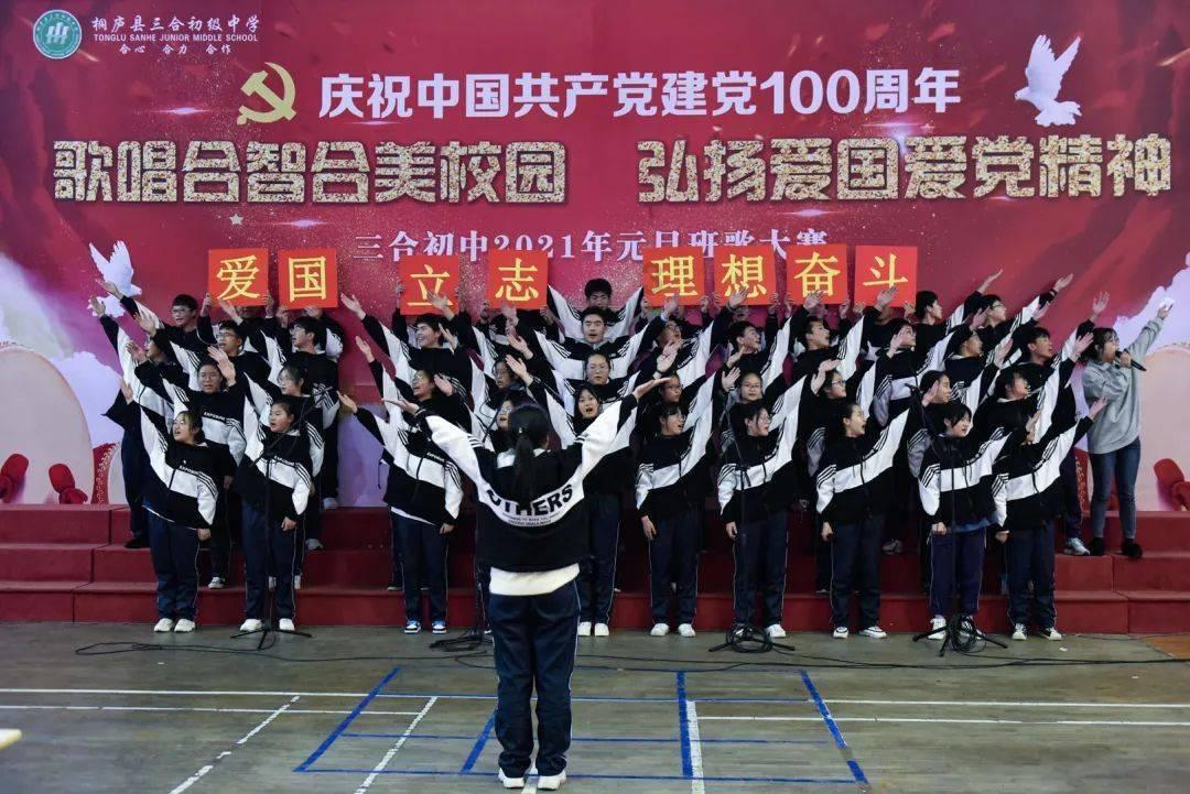 小长颈鹿逃离